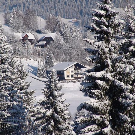 Cozy Apartment In Afritz Am See Near Gerlitzen Ski Area ภายนอก รูปภาพ